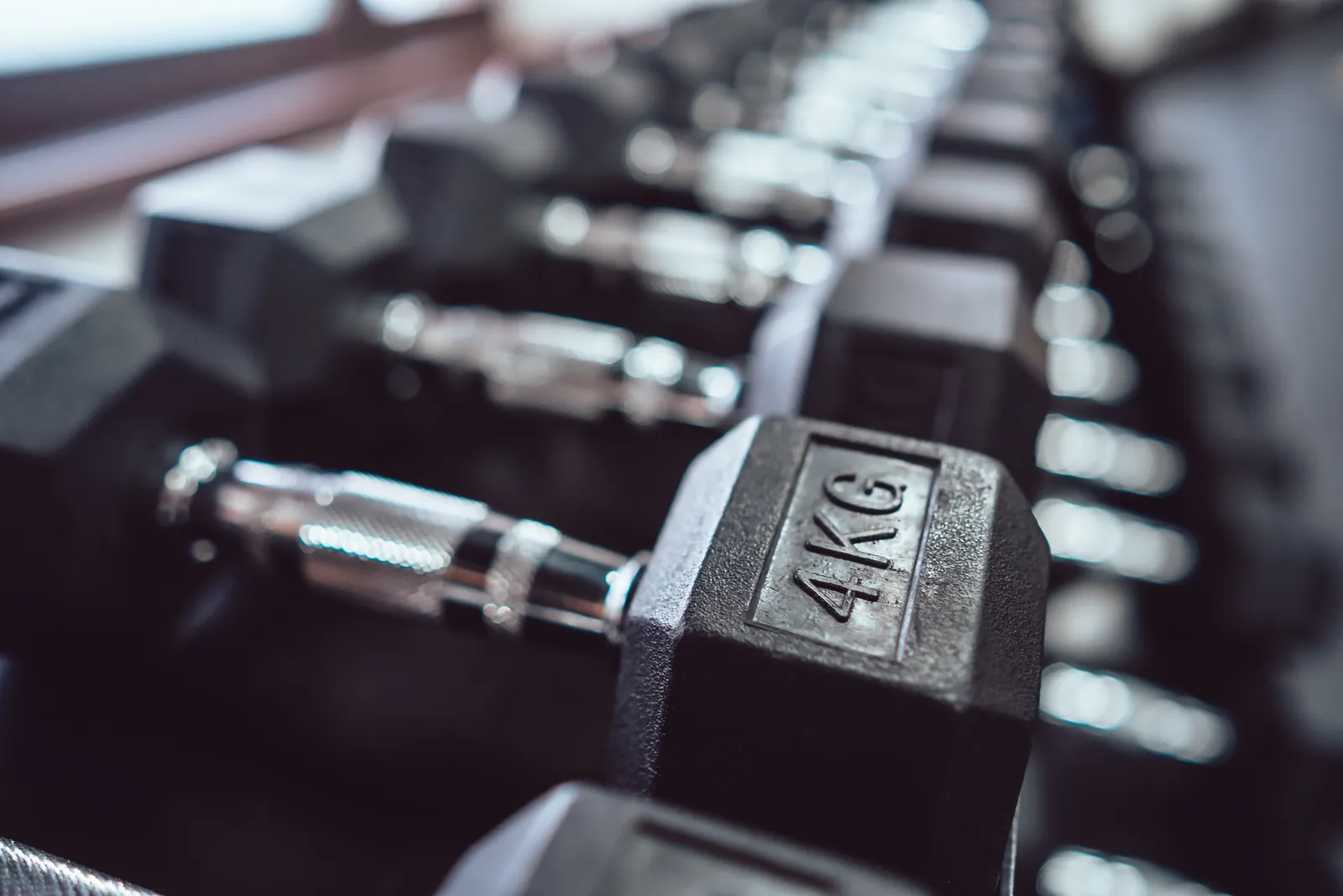 Strength & Resistance Equipment — Equipment Category